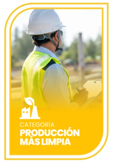 Producción Más Limpia